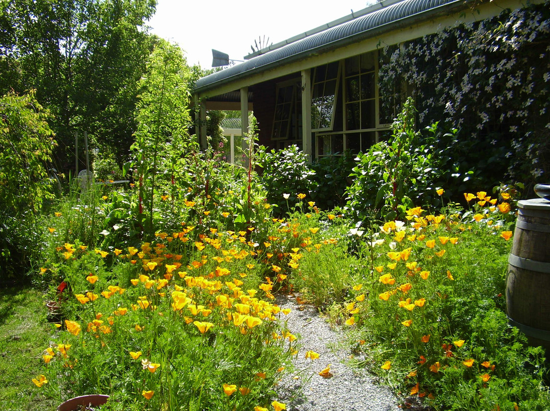 Holly Lane Mews主图