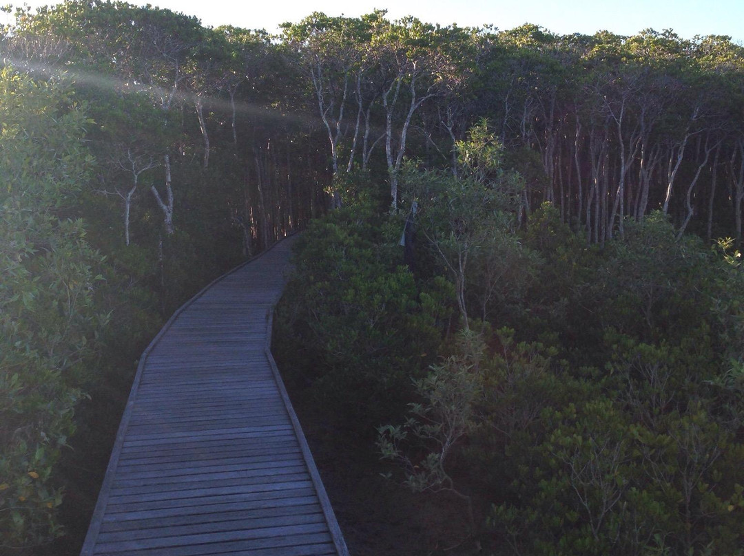 The Jack Barnes Bicentennial Mangrove Boardwalk-爱罗格伦必去景点