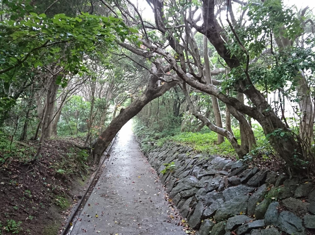 Ashizuri Nature Trail Ashizuri Nanafushigi-土佐清水市必去景点