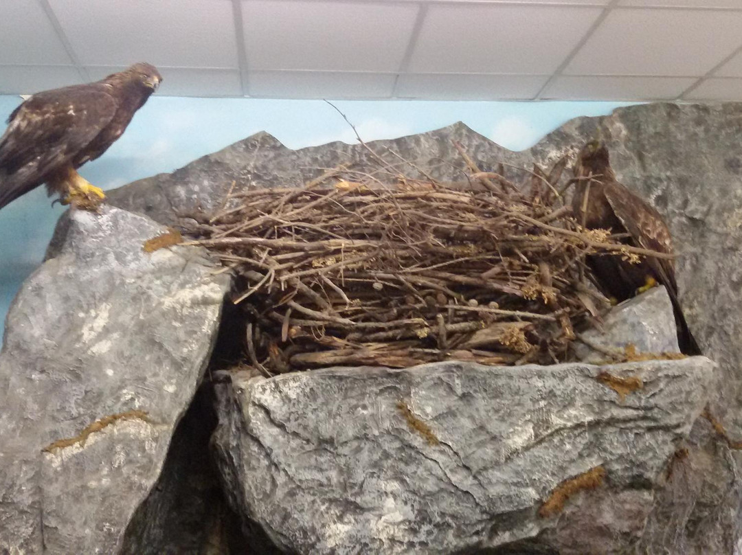 Museo Naturalistico del Fiume Po-Revello必去景点