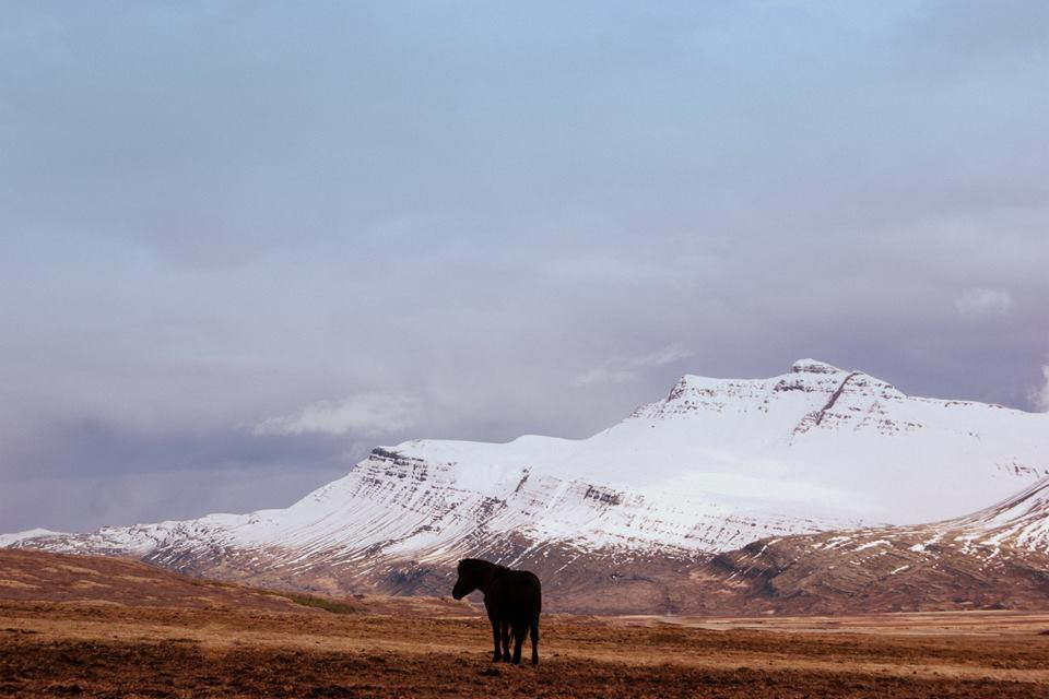 Odin Tours-Breiddalsvik必去景点