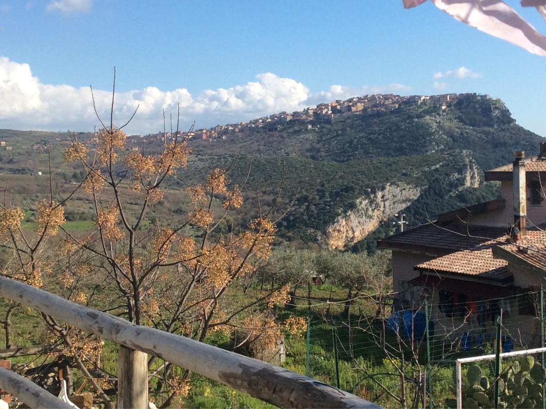 Agriturismo  Agrimarino