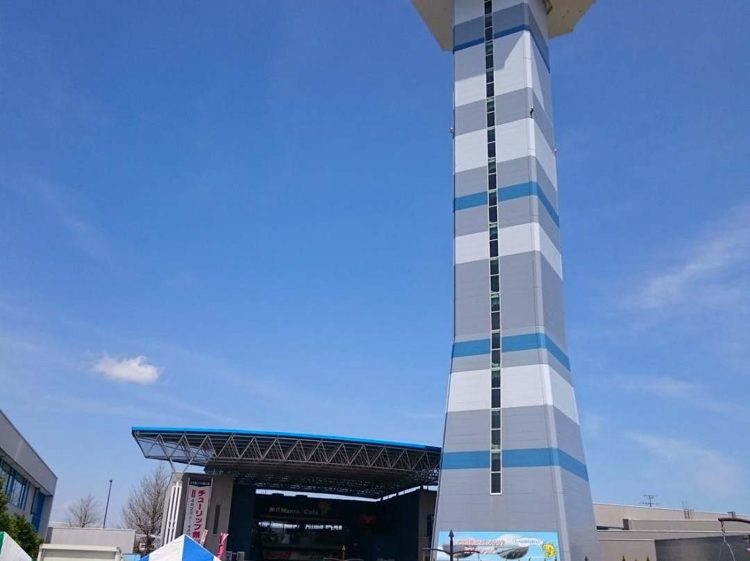 Mizu to Midori no Yakata Observation Tower-海津市必去景点