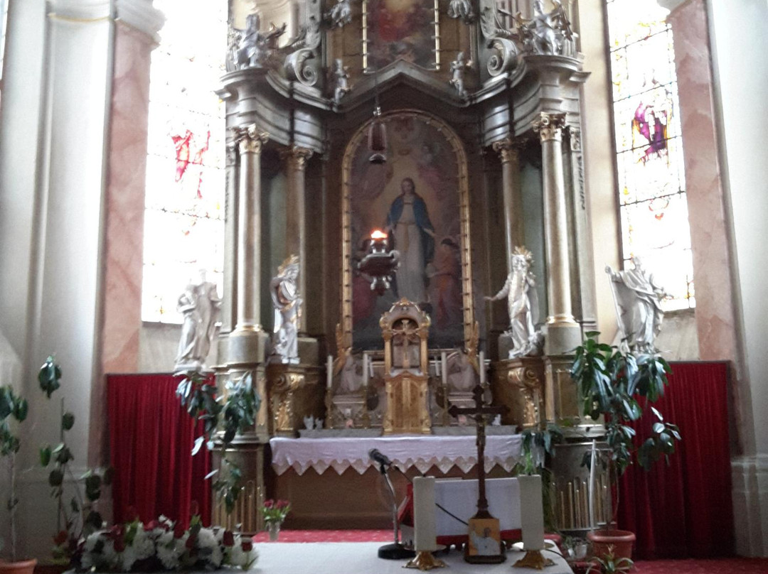 Biserica Ursulinelor景点图片
