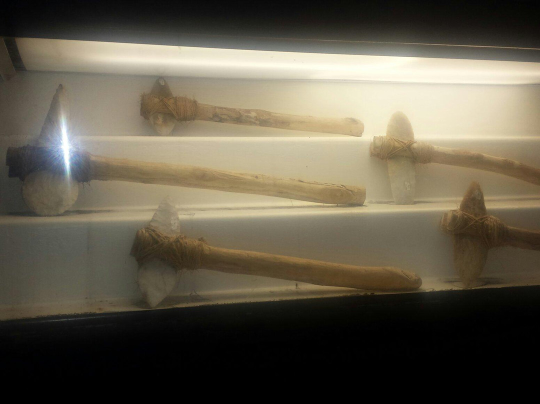 Museo de Arqueologia Olmeca景点图片