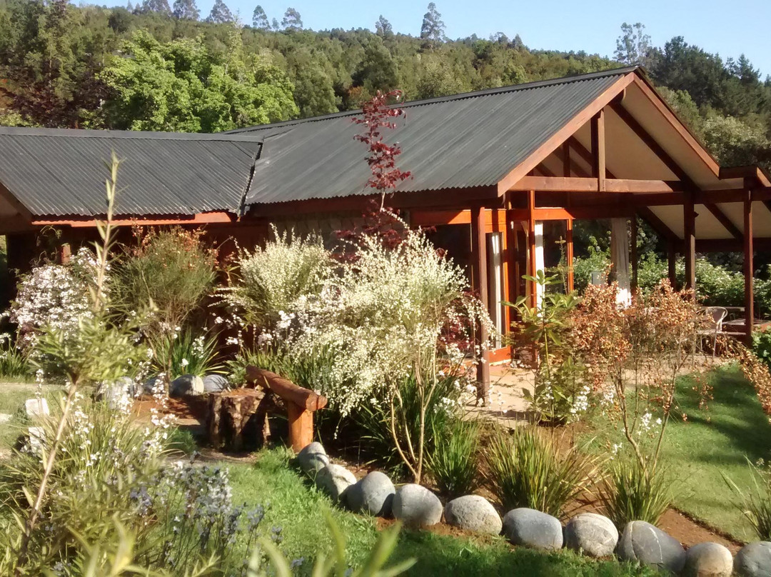 Lodge y Cabanas Los Cisnes