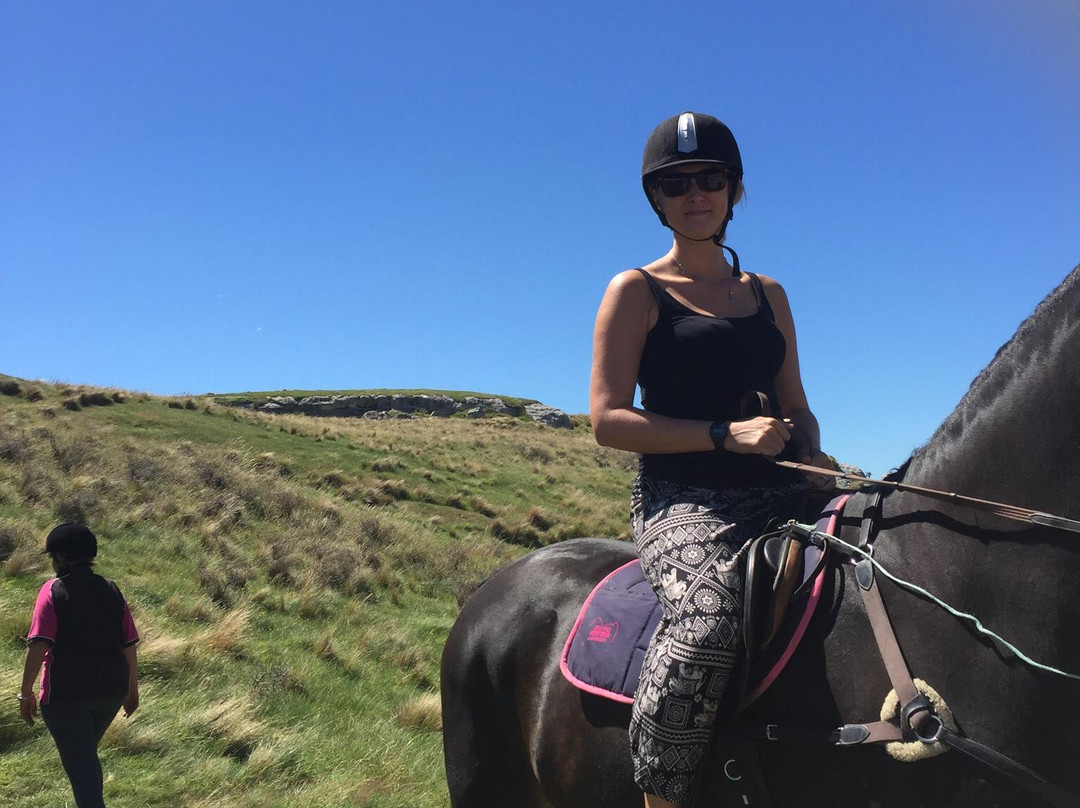 Weka Pass Horse Treks & Riding Centre景点图片