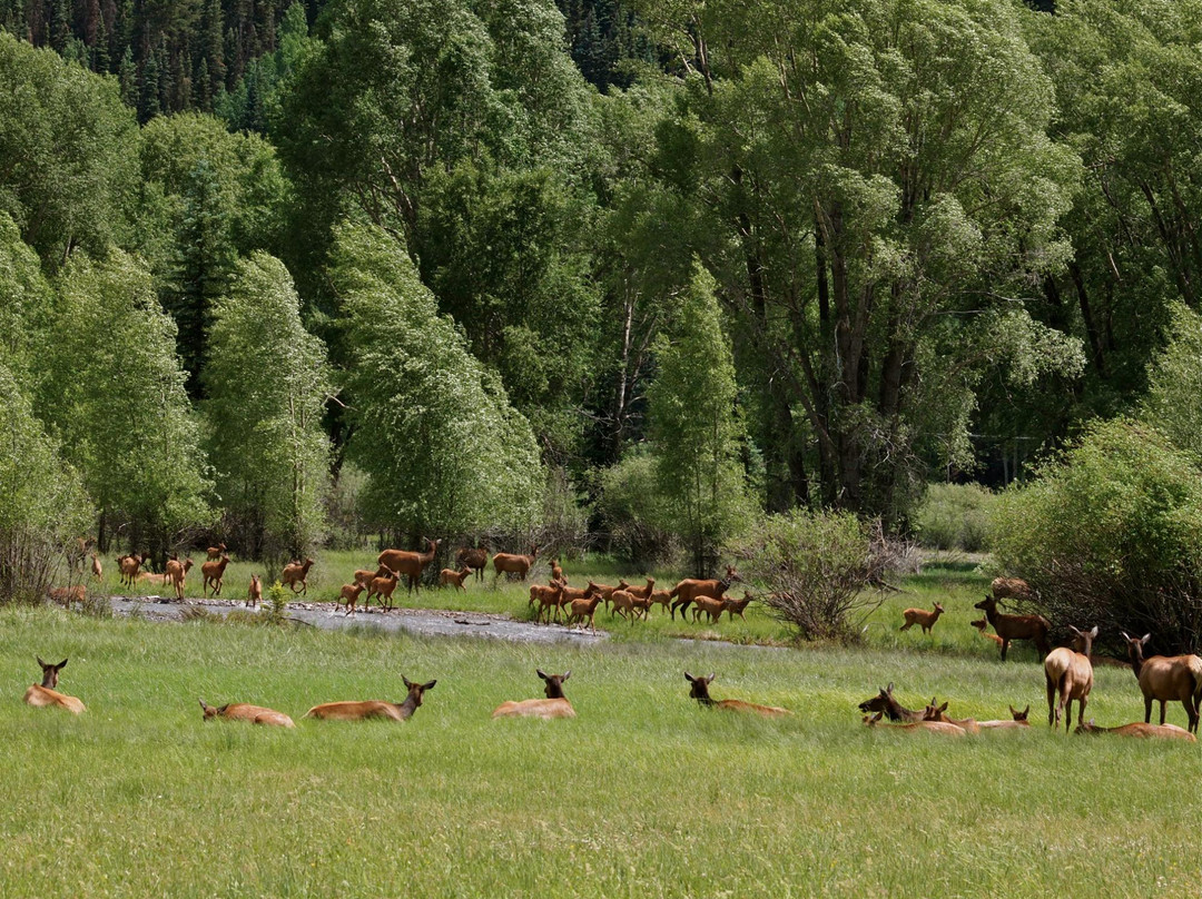 Valley Floor-特柳赖德必去景点