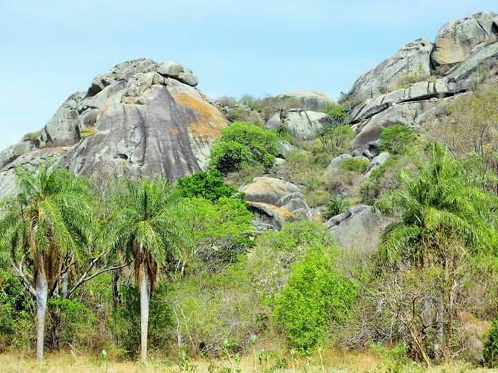 Bodoco旅游攻略图片