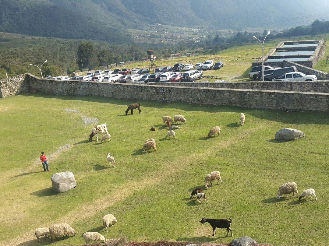 Parque Agro Turístico y de Aventura EcoWild-梅里达市必去景点
