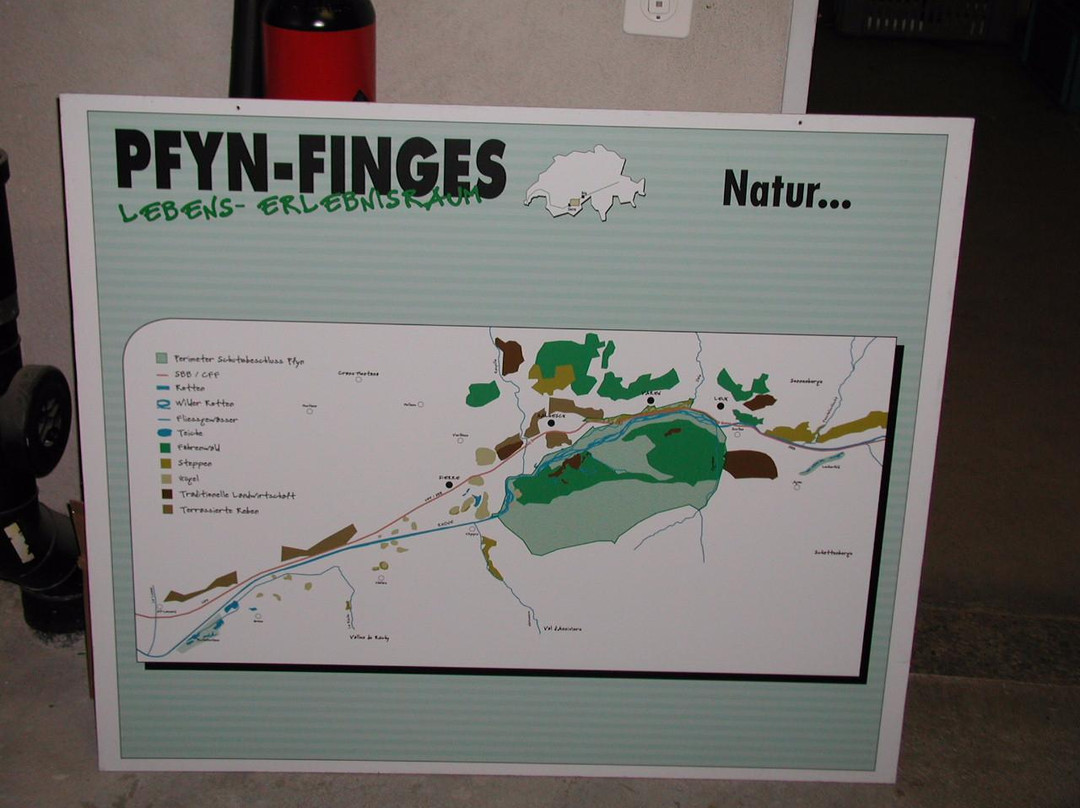 Naturpark Pfyn-Finges-谢尔必去景点
