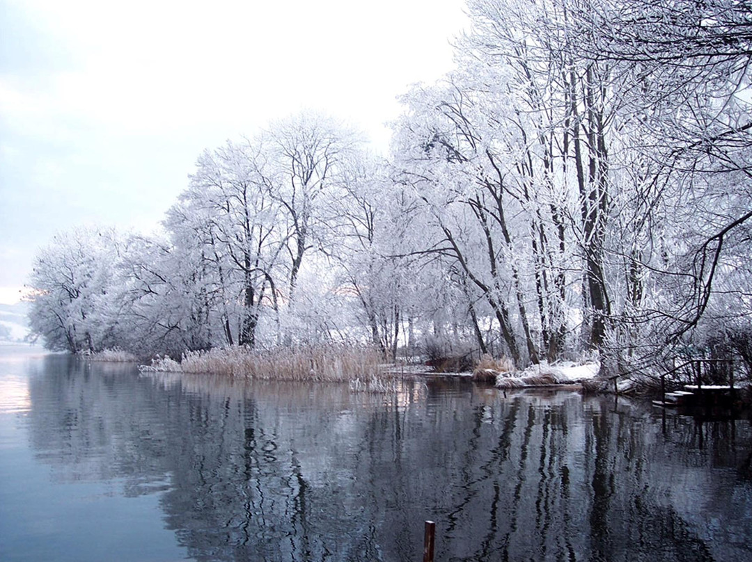 Irrsee-Oberhofen am Irrsee必去景点