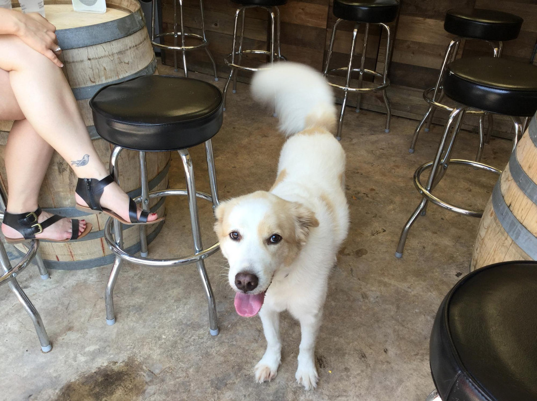 Crystal Creek Distillery-Spicewood必去景点