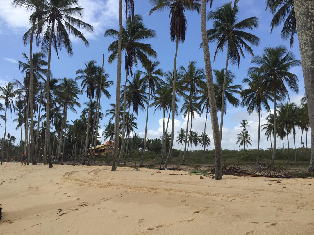 Coqueiral Beach-Prado必去景点