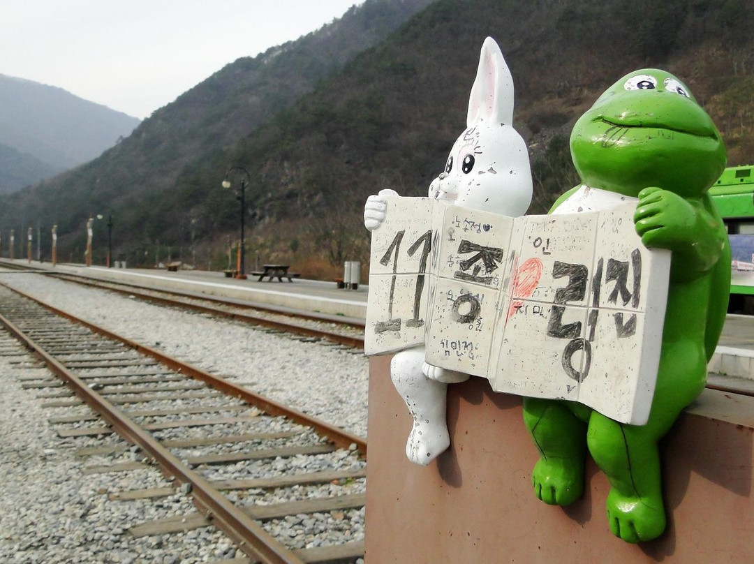 Jeongseon Rail Bike-旌善郡必去景点