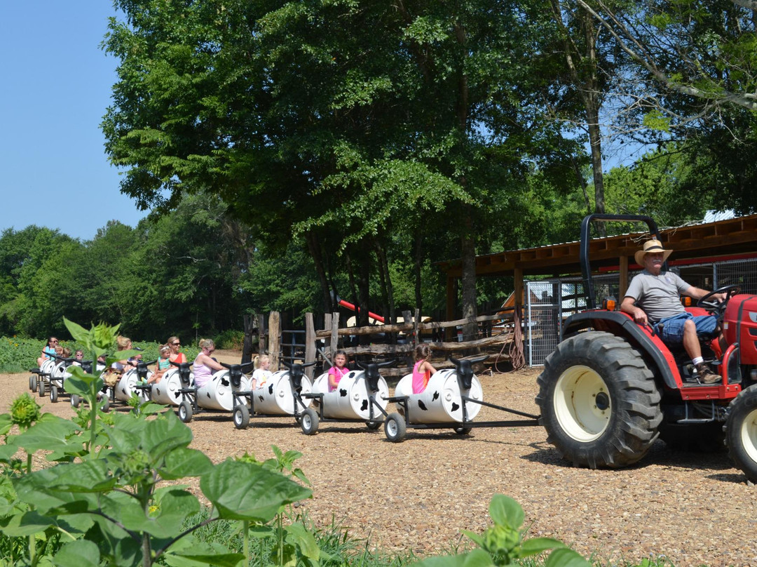 Copper Creek Farm-Calhoun必去景点
