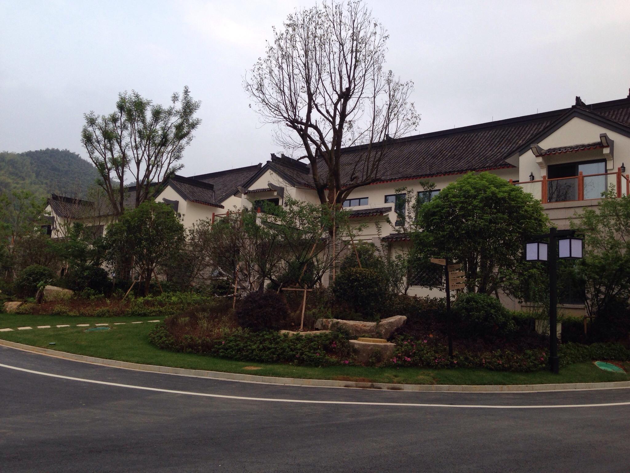 安吉大年初一风景度假村-客卧