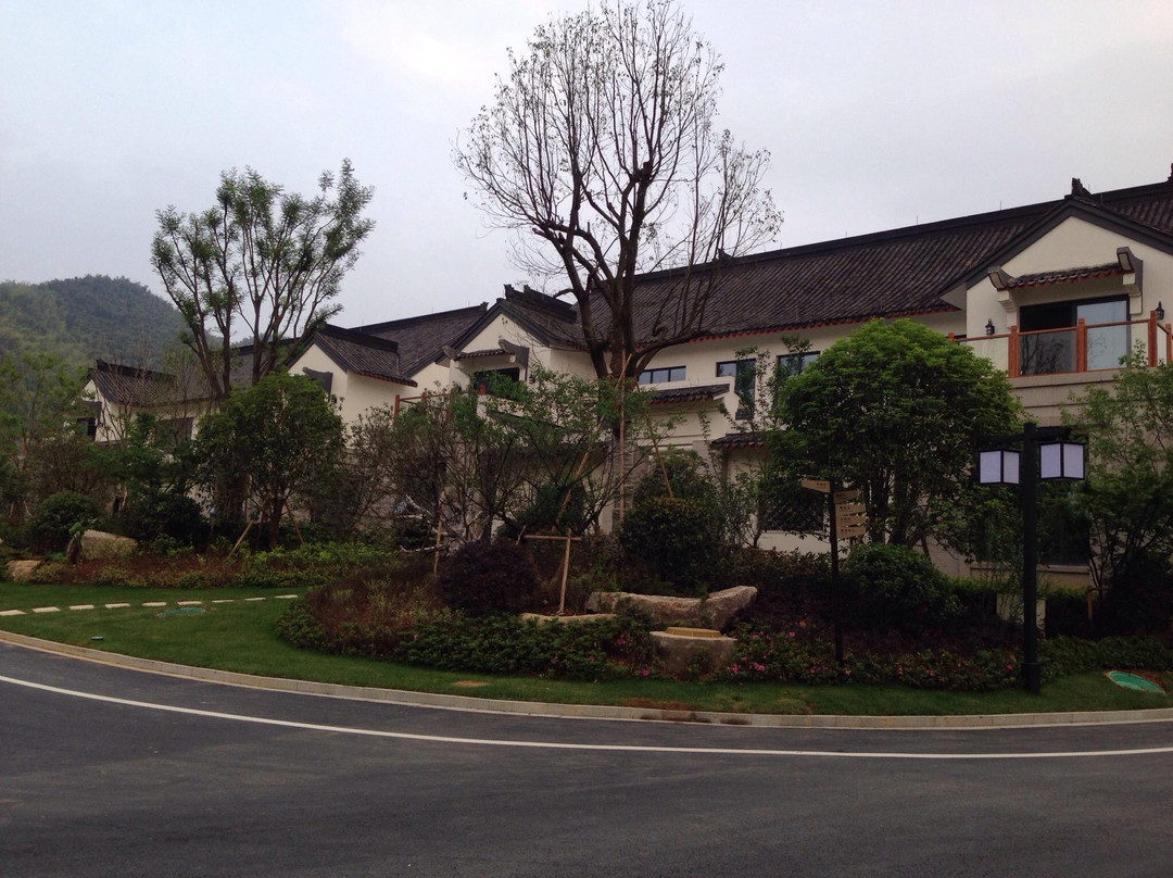 安吉大年初一风景度假村主图