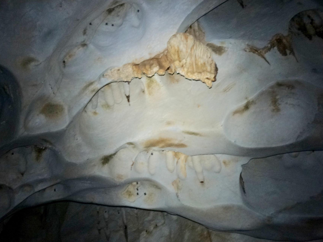 Clearwater Connection-姆鲁国家公园必去景点