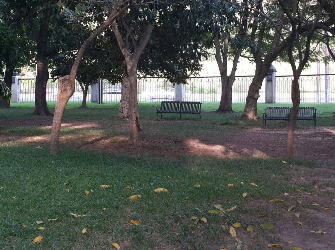 Parque Fernando Peñalver景点图片
