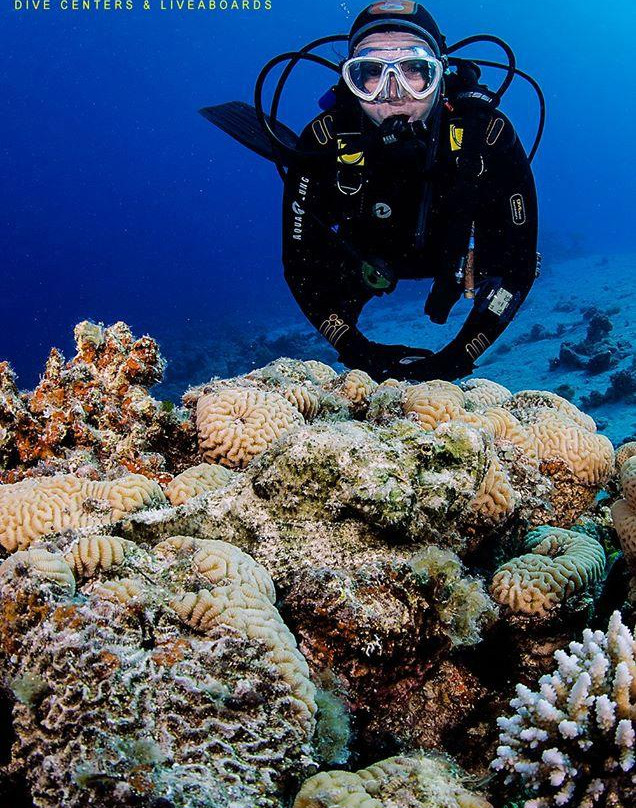 Blueforce Diving Nuweiba-努威巴必去景点