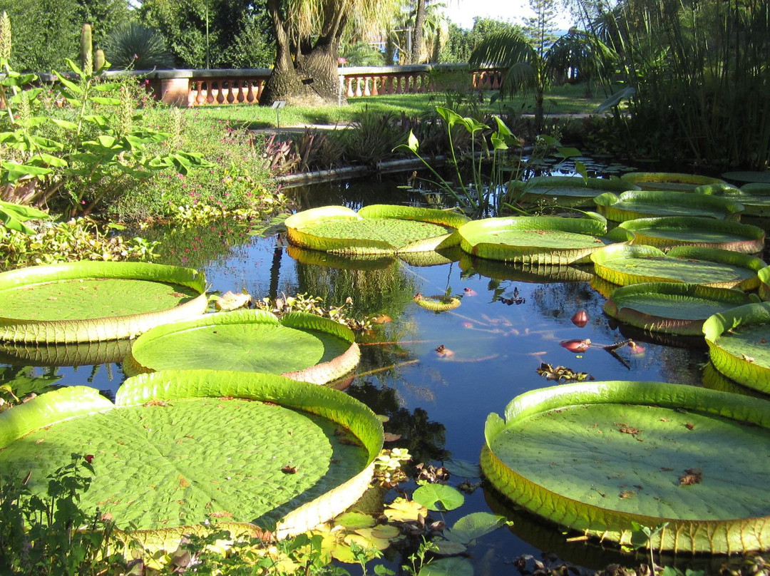 Jardin Botanique Val Rahmeh - Menton景点图片