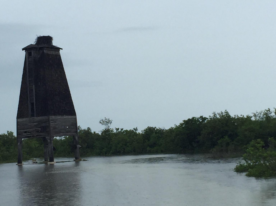 Sugarloaf Key Bat Tower-Sugarloaf必去景点