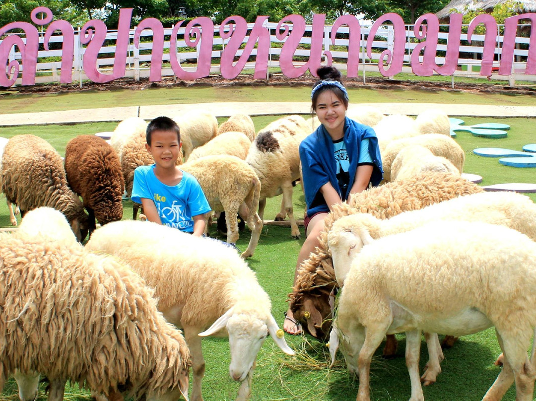 里县旅游景点-Hug You Sheep Farm