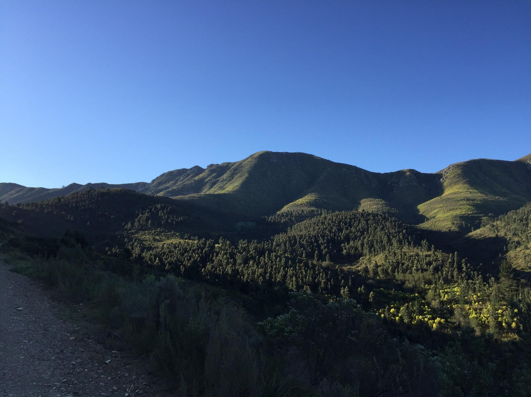 Knysna Timber Route-克尼斯纳必去景点