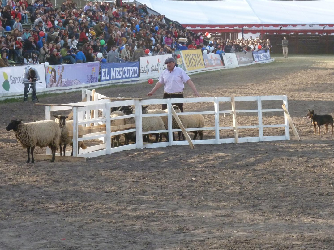 Parque Padre Alberto Hurtado-圣地亚哥必去景点