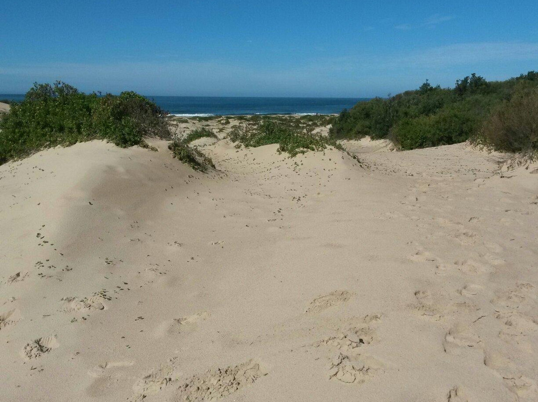 One Mile Beach景点图片