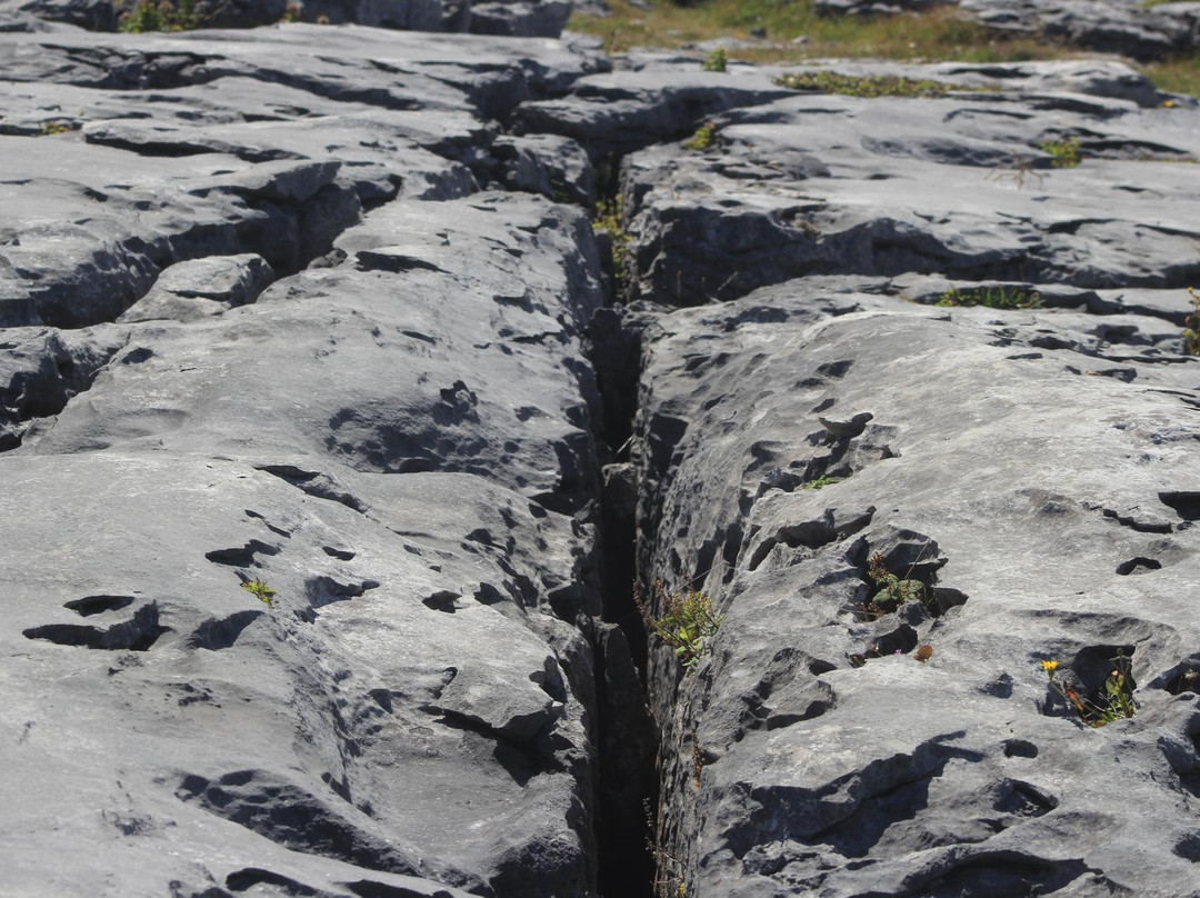 Burren Coastline Drive-克莱尔郡必去景点