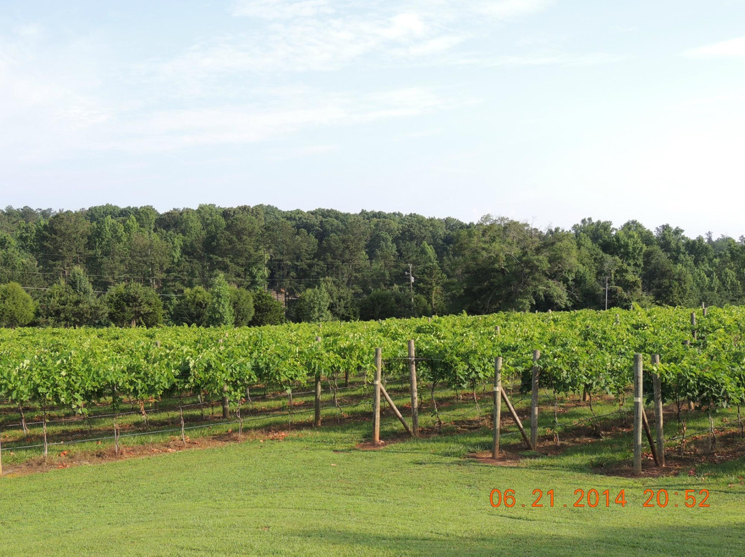 Little Vine Vineyards and Winery景点图片