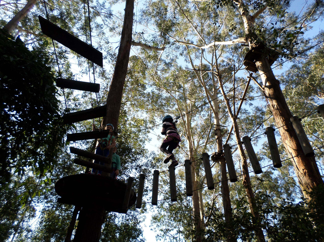 TreeTops Central Coast-怀昂溪必去景点