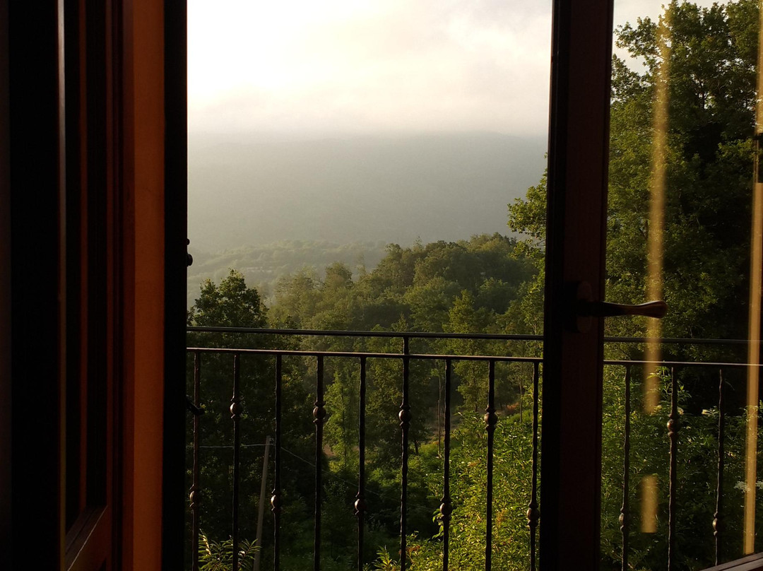 Agriturismo Torello主图