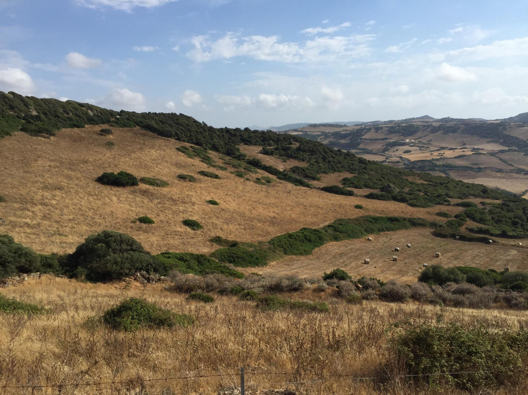 Muraglia e Villaggio Nuragico di Monte Elias-Tergu必去景点