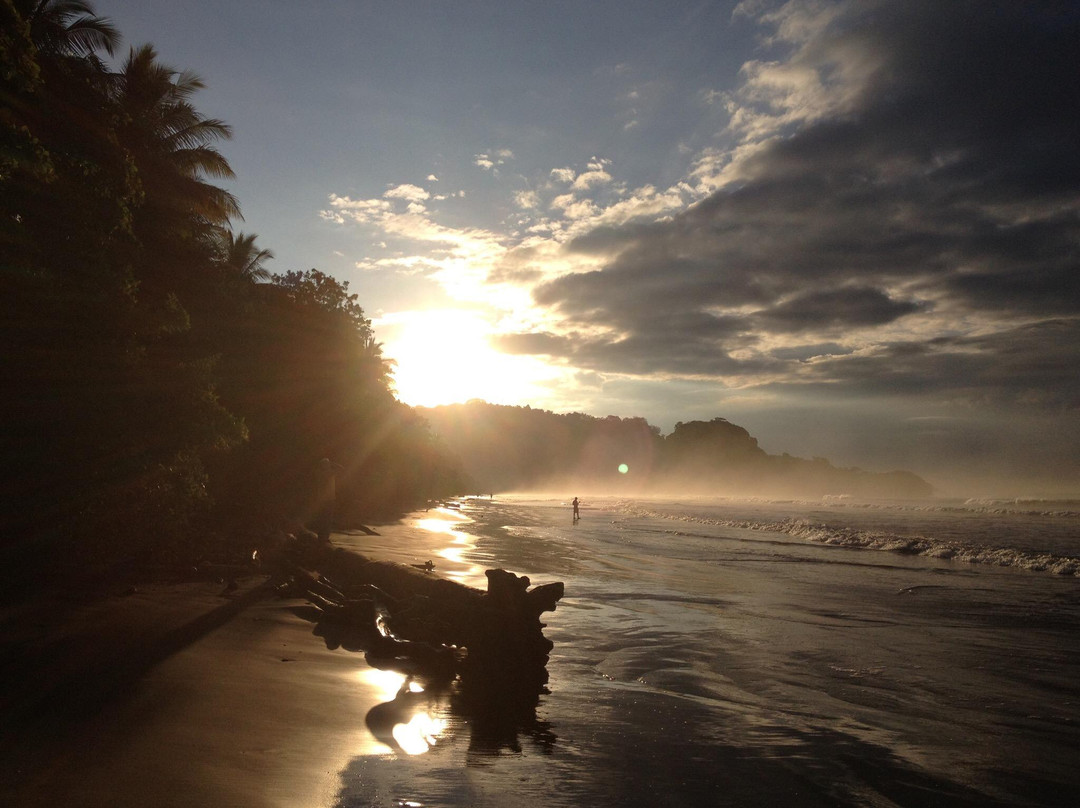 Uvita Beach景点图片