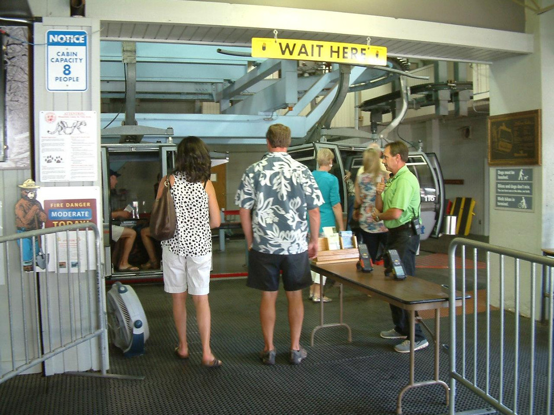 Mount Werner-斯廷博特斯普林斯必去景点