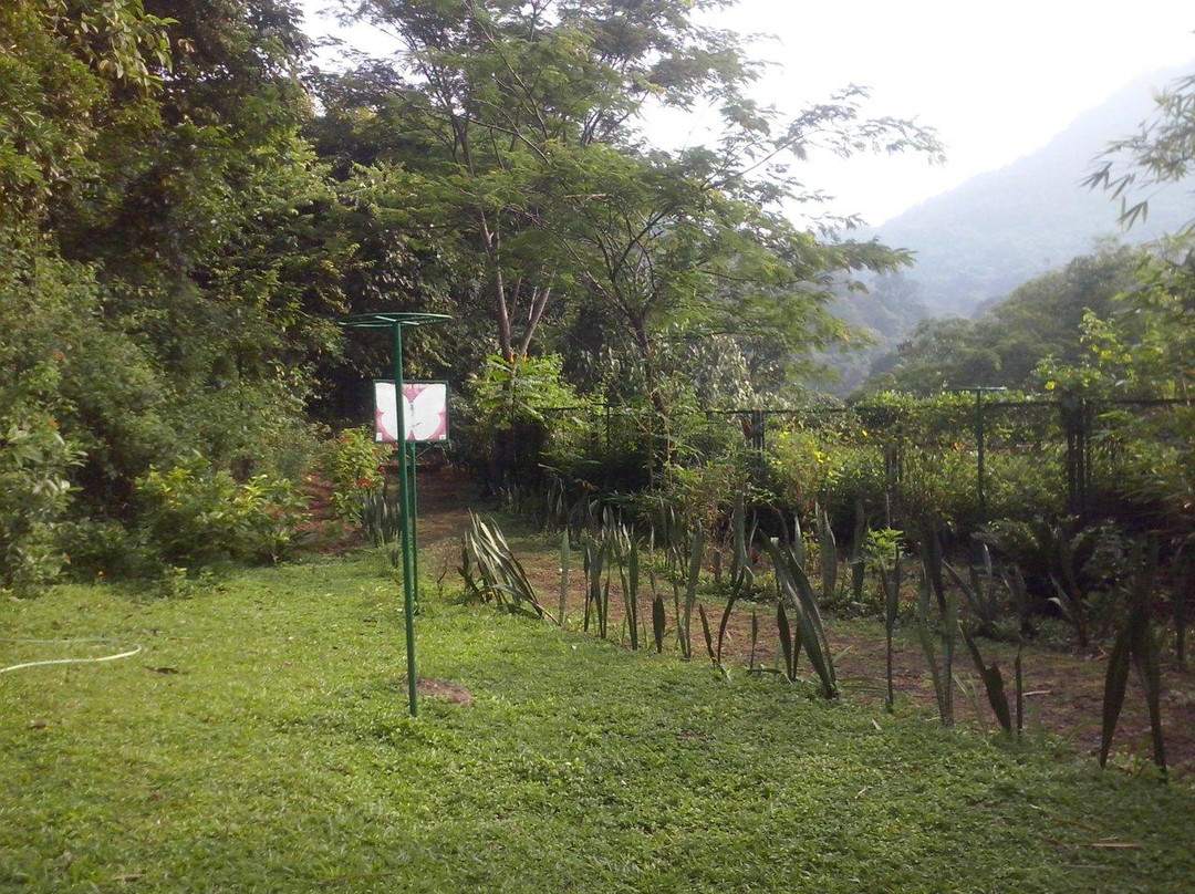 Butterfly Safari Park景点图片