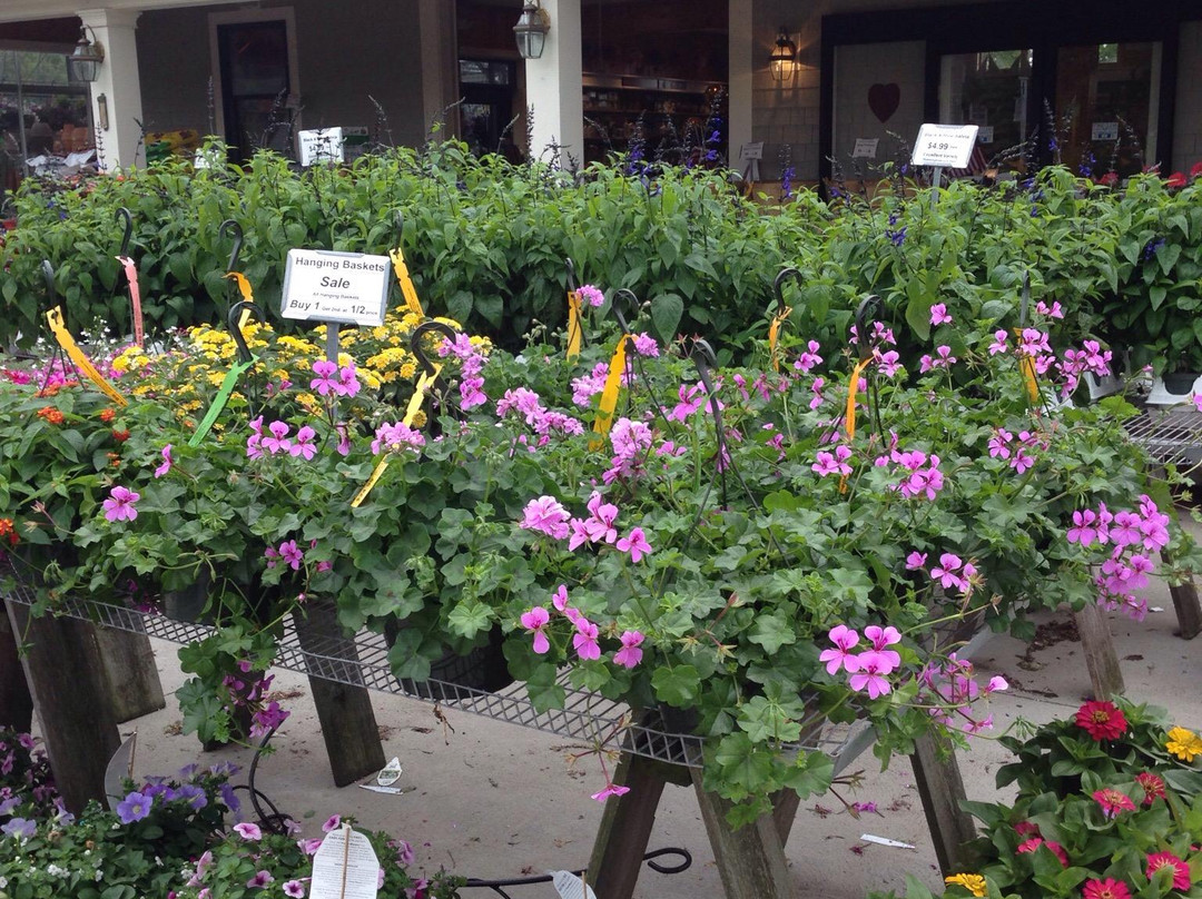 Hart Farm Nursery景点图片