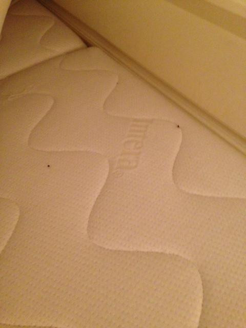 Zur Goldenen Krone Hotel主图