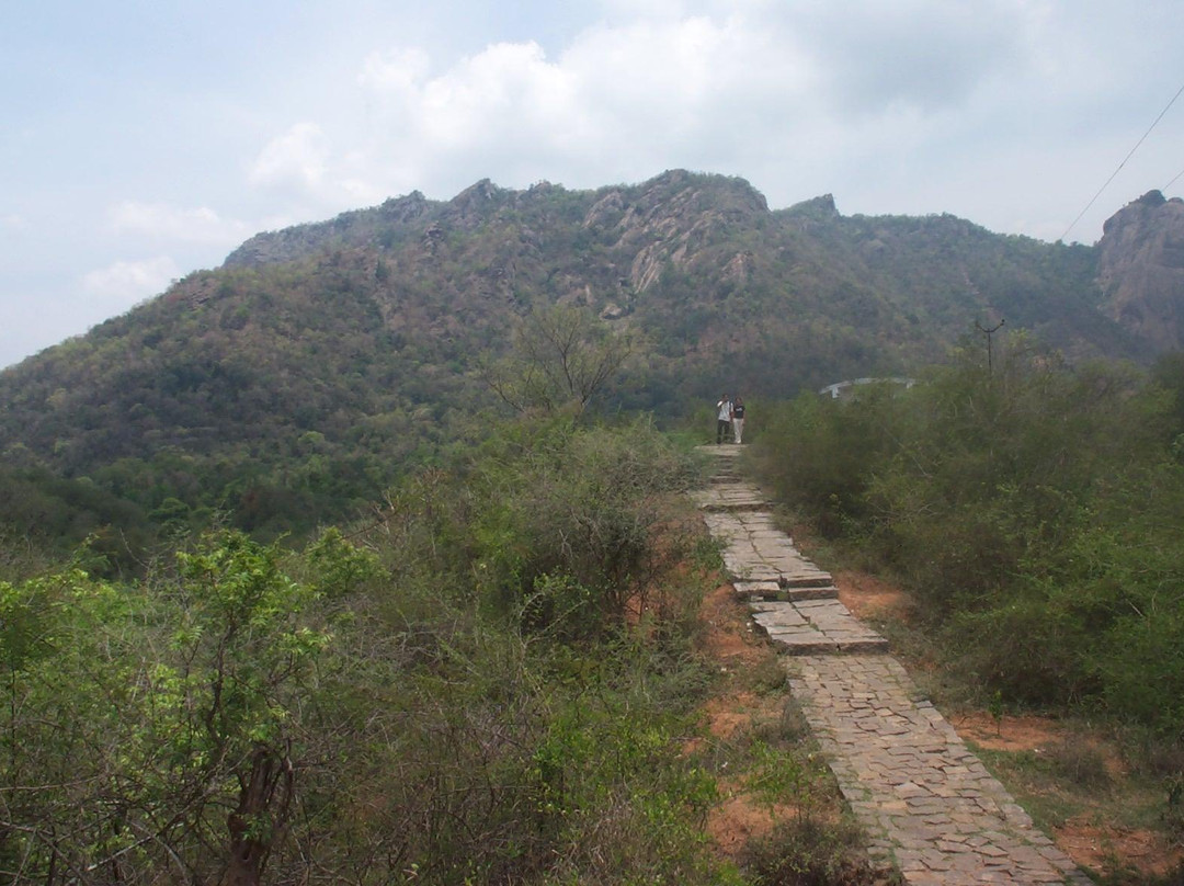 Amirthi Zoological Park-Vellore必去景点