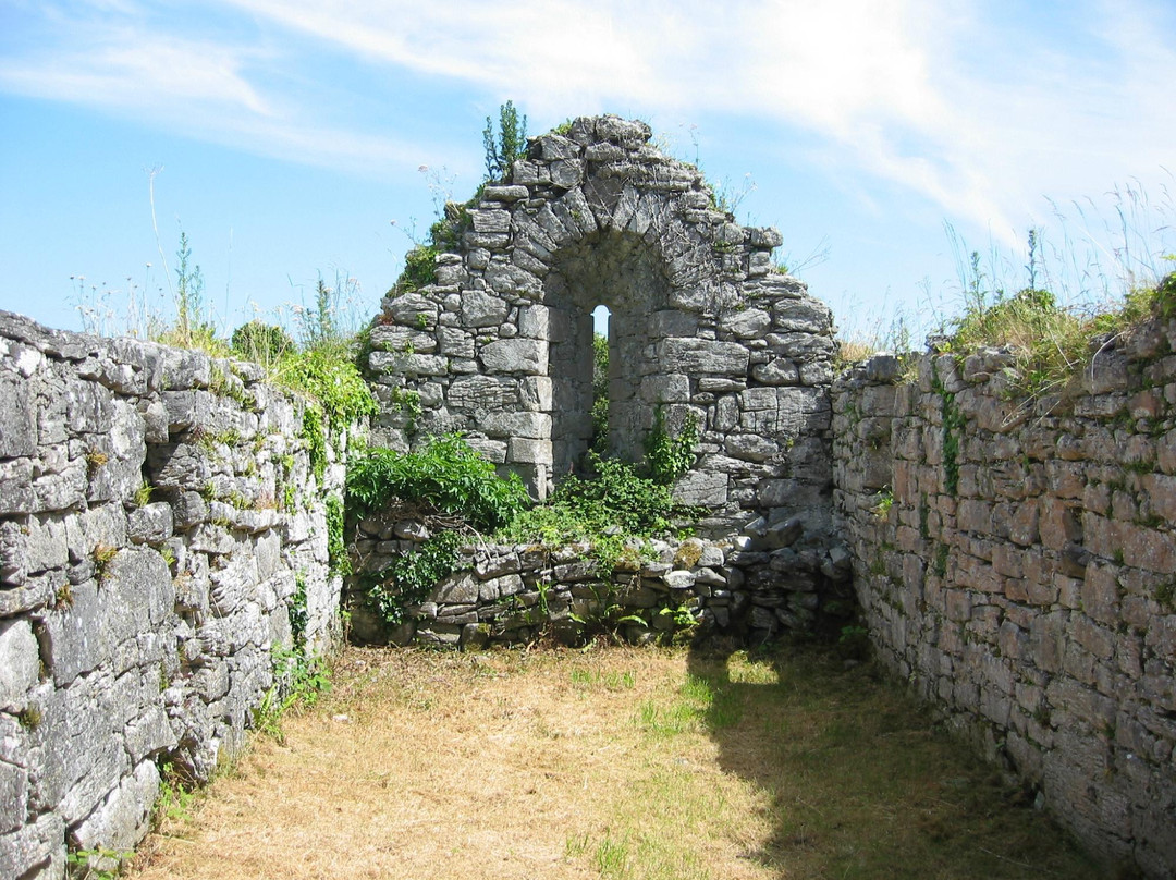 Gleninagh Castle and Fulacht Fiadh景点图片