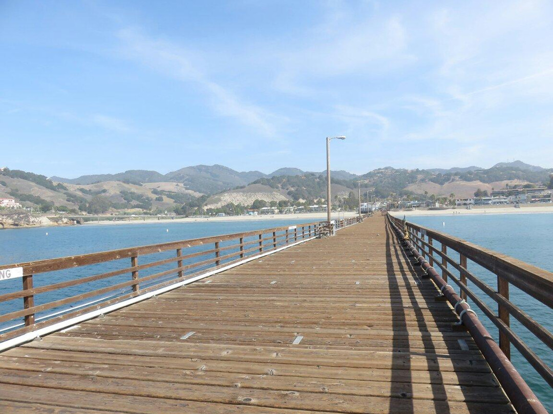 Bob Jones City to Sea Bike Trail-阿维拉海滩必去景点