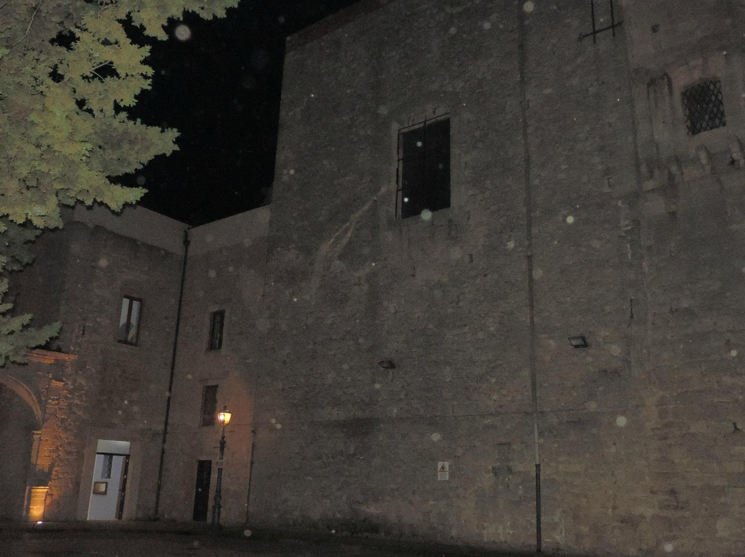 Palazzo Comunale di Mineo景点图片