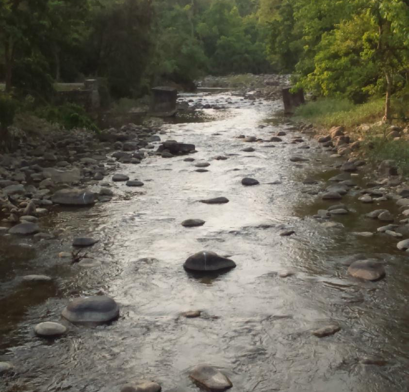 Lacchiwalla Nature Park景点图片
