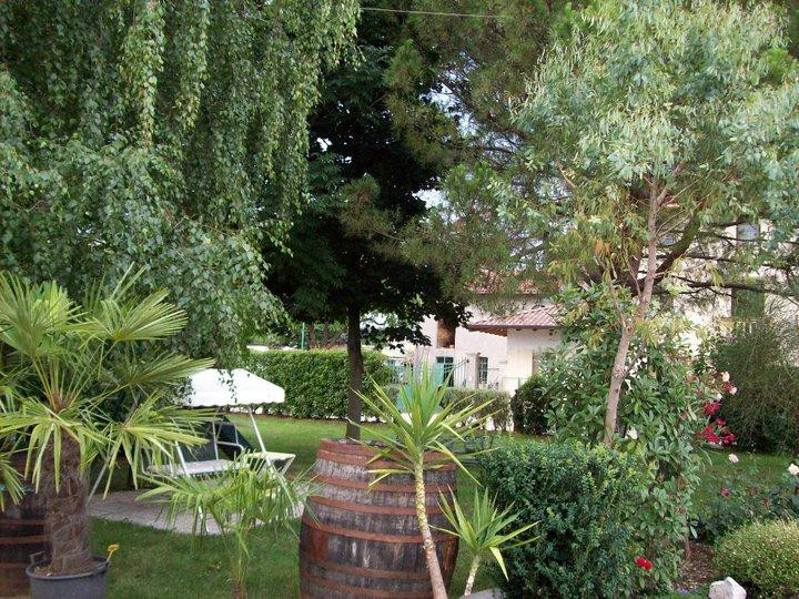 Agriturismo Azienda Vitivinicola La Cortine景点图片