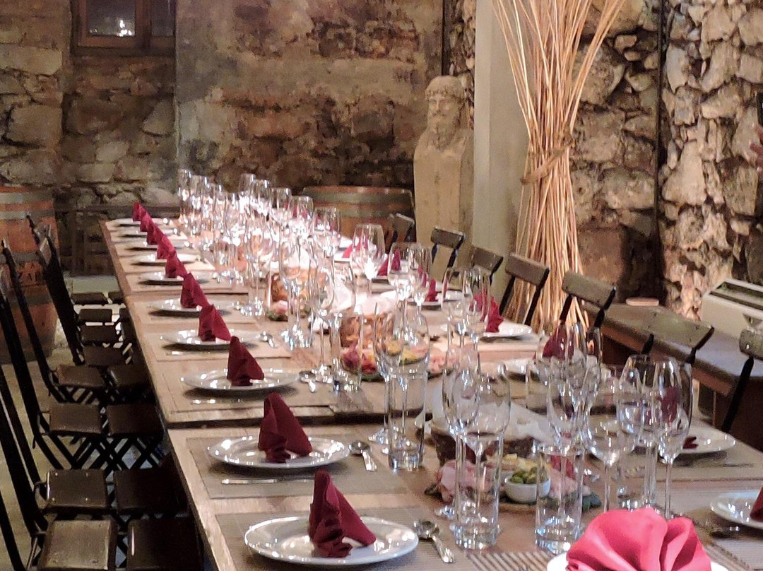 Varela Zarranz Winery-Canelones必去景点