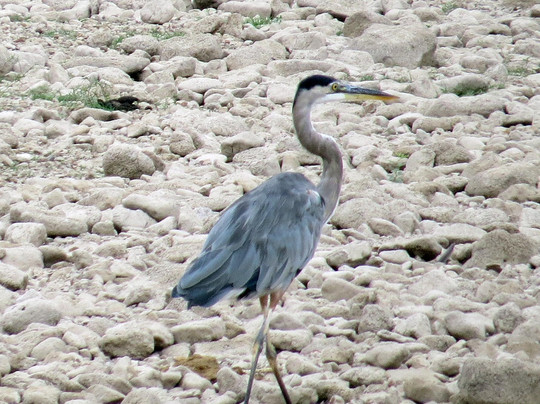 Lake Balmorhea-Balmorhea必去景点