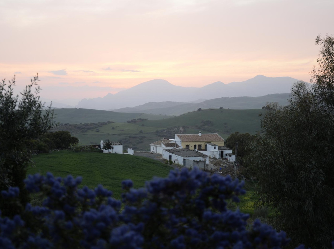 Bed and breakfast Nuestro Cielo主图